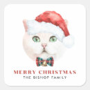 Recherche de british autocollants Chat mignon