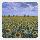 Search for crop stickers Environment