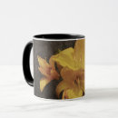 Search for asiatic mugs Background