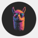 Search for drama llama stickers Colourful