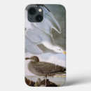 Search for audubon ipad cases Biology