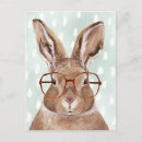 Search for hare postcards Bunnies