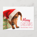 Search for events christmas cards Humour