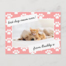 Search for dog photos postcards Pets