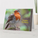 Search for robin bird birthday cards Wildlife
