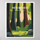 Search for california posters Redwood national park