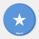 Search for patriotic magnets Flags