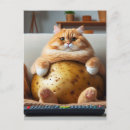Recherche de pomme cartes postales Chaton