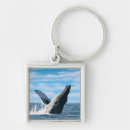 Search for whale keyring posters Lantern