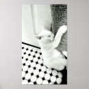 Recherche de hang in there posters Mignon