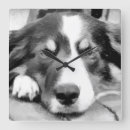 Search for border collie clocks Herding dog