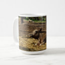 Search for contented mugs Relaxing