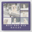 Search for dog coasters Fun