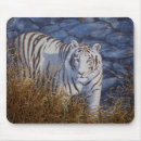 Recherche de tigre blanc tapis souris Faune