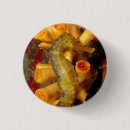 Recherche de hippocampes badges Vie marine