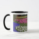 Recherche de pays bas tasses Rose