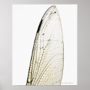 Search for extreme animals art Animal body part