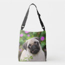 Search for dog face bags Funny
