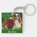 Search for cavalier king charles keychains Animal
