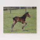 Recherche de legs puzzles Animal