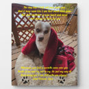 Search for missing pet supplies Loss