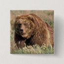 Recherche de ours brun badges Alaska