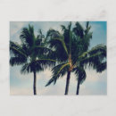 Search for hawaii postcards Trees