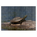 Recherche de tortue planches à découper Animal