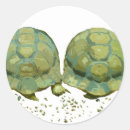 Search for cartoon tortoise stickers Animals