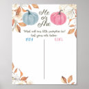 Search for gender reveal board Pink or blue
