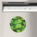 Search for cases magnets Green