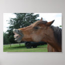 Recherche de cheval drôle posters Pour enfants