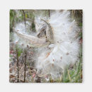 Recherche de pot fleur magnets Fleurs