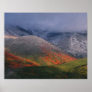 Search for maples posters Winter