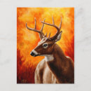 Search for trophy postcards Buck