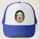 Search for coating hats Pets
