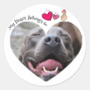 Search for pitbull puppy stickers Puppies