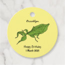 Search for leaf insect Bug