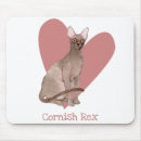 Search for cornish rex Cat lover