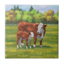 Recherche de bovin carreaux Vache