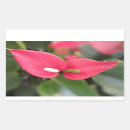Search for anthurium stickers Red