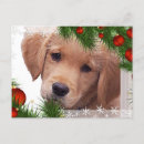 Recherche de cute dog christmas cards Puppy