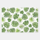 Search for green leaves wrapping paper Palm