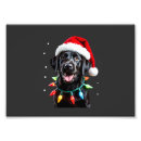 Search for christmas tree lights posters Animal