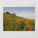 Search for tuscany postcards Villa