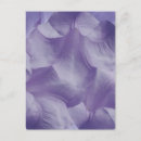 Search for flower petals postcards Purple flowers