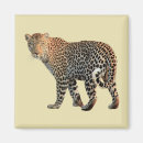 Search for predators magnets Nature
