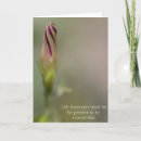 Search for bud cards Plants
