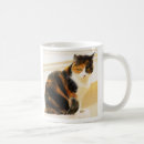 Recherche de chat de calicot tasses Animaux