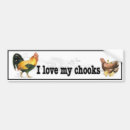 Search for love chickens bumper stickers Hens